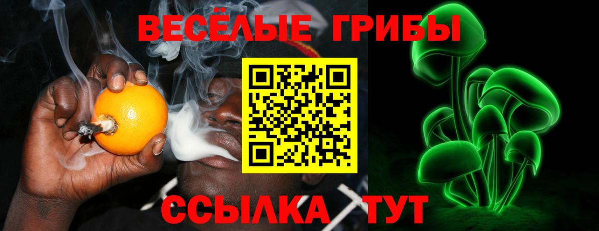 наркотики  Галлюциногенные грибы мухоморы  Вход с VPN  Псилоцибиновые грибы GOLDEN TEACHER  Алейск 