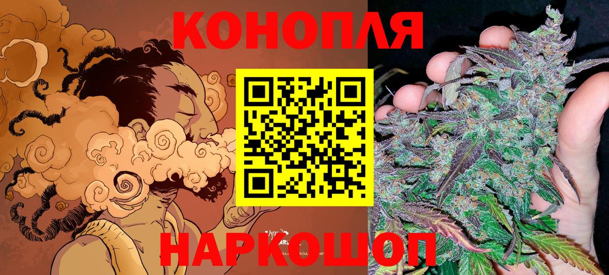 Канабис планчик Алейск